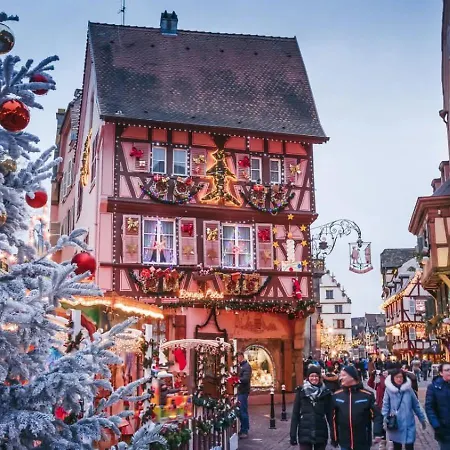 Cocoon Hypercentre Carre D'or De ストラスブール