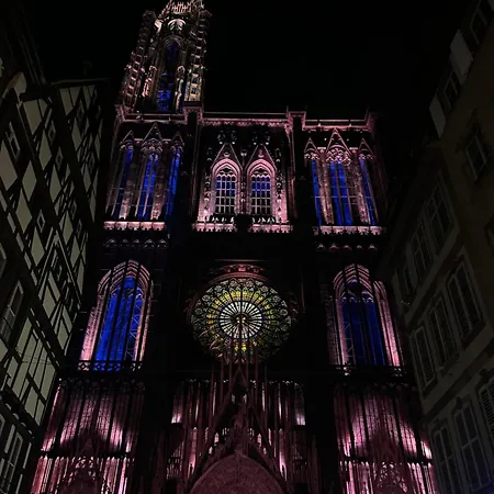 アパート Cocoon Hypercentre Carre D'or De ストラスブール