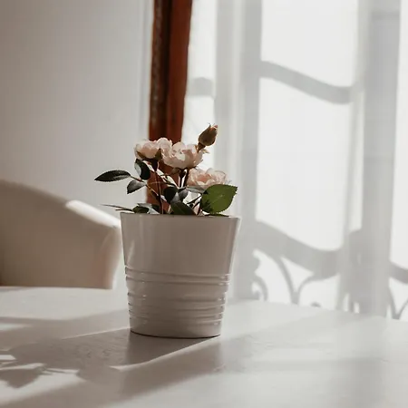 Cocoon Hypercentre Carre D'or De Апартаменты